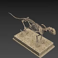 Detailed Animal Skeleton Display Featuring Anatomical Structure On Marble Base 3d model