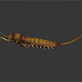 Prehistoric Orange Red Arthropod Creature With Long Tail And Sharp Pincers 3d model
