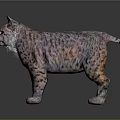 Realistic Lynx Wild Cat 3D Model With Detailed Fur Texture And Spotted Coat