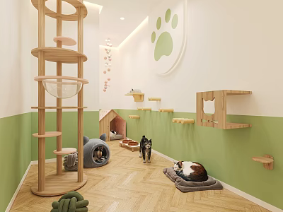 Modern Reptile Habitat With Climbing Shelves And Wall Decor In Green White Room 3d model