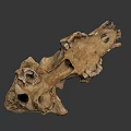 Ancient Fossilized Animal Skull With Brownish Bone Structure And Remains 3d model