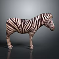 Detailed Standing Zebra With Bold Striped Coat Isolated On Dark Gray Background