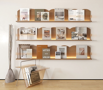 Bookshelf Magazine Books 3d model