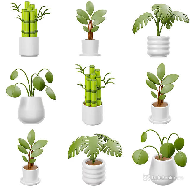 Various Potted Green Plants With Different Leaf Shapes In White Ceramic Pots 3d model 