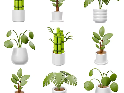 Various Potted Green Plants With Different Leaf Shapes In White Ceramic Pots 3d model