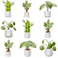 Various Potted Green Plants With Different Leaf Shapes In White Ceramic Pots