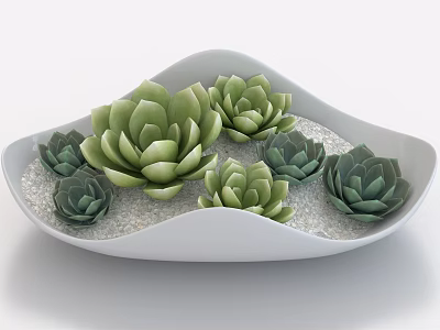 Indoor Decorative Wave Shaped White Pot With Green Succulents And White Pebbles 3d model