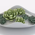 Indoor Decorative Wave Shaped White Pot With Green Succulents And White Pebbles