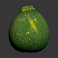 Fresh Green Zucchini With Bumpy Texture And Yellow Top Isolated On Dark Background 3d model