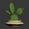 Green Cactus With Paddle Shaped Stems Yellow Dots In Decorative Pot With Colorful Geometric Patterns