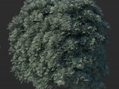 Arbor Tree With Dense Green Canopy And Lush Vibrant Foliage Showing Natural Growth 3d model