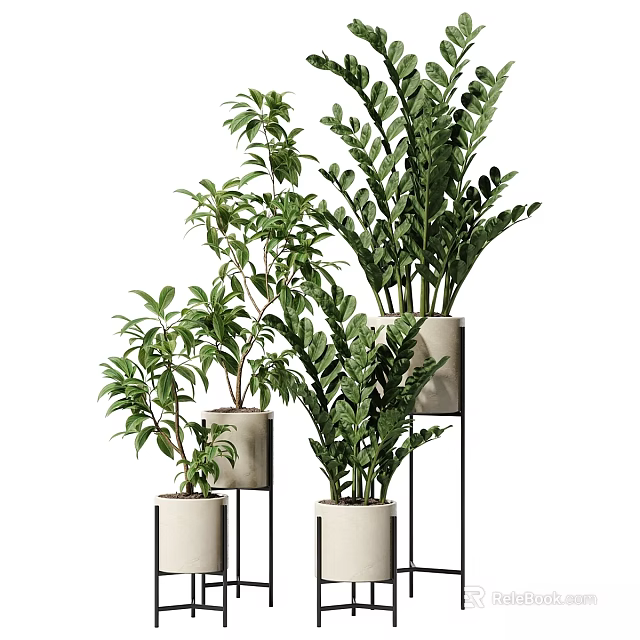 Elegant Decorative Ornament Set With Green Plants In White Pots And Metal Stands 3d model 