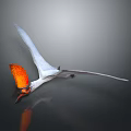 Pterosaur with Spread Wings and Orange Crest on Gray Gradient Background with Reflection 3d model