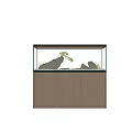 Natural Aquarium Setup With Rocks Aquatic Plants And Small Tree On Wooden Cabinet