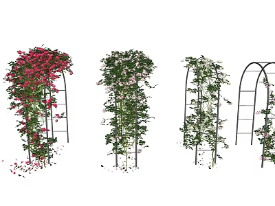 Beautiful Climbing Vines With Red And White Flowers On Arched Garden Trellises 3d model