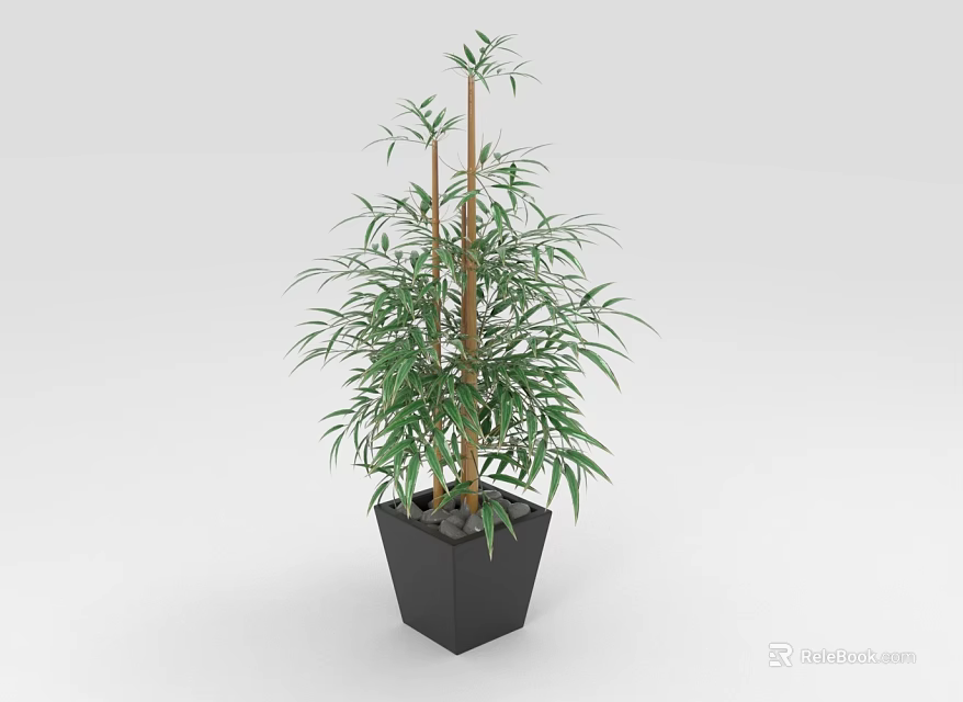 Indoor Decorative Bamboo Plant With Green Leaves In Black Square Pot 3d model 