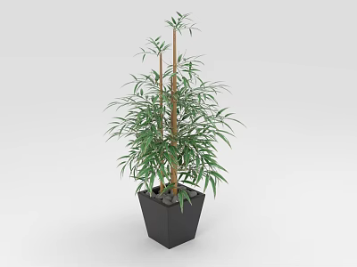 Indoor Decorative Bamboo Plant With Green Leaves In Black Square Pot 3d model