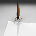 Orange And Black Spotted Butterfly With Open Wings On White Gray Gradient Background