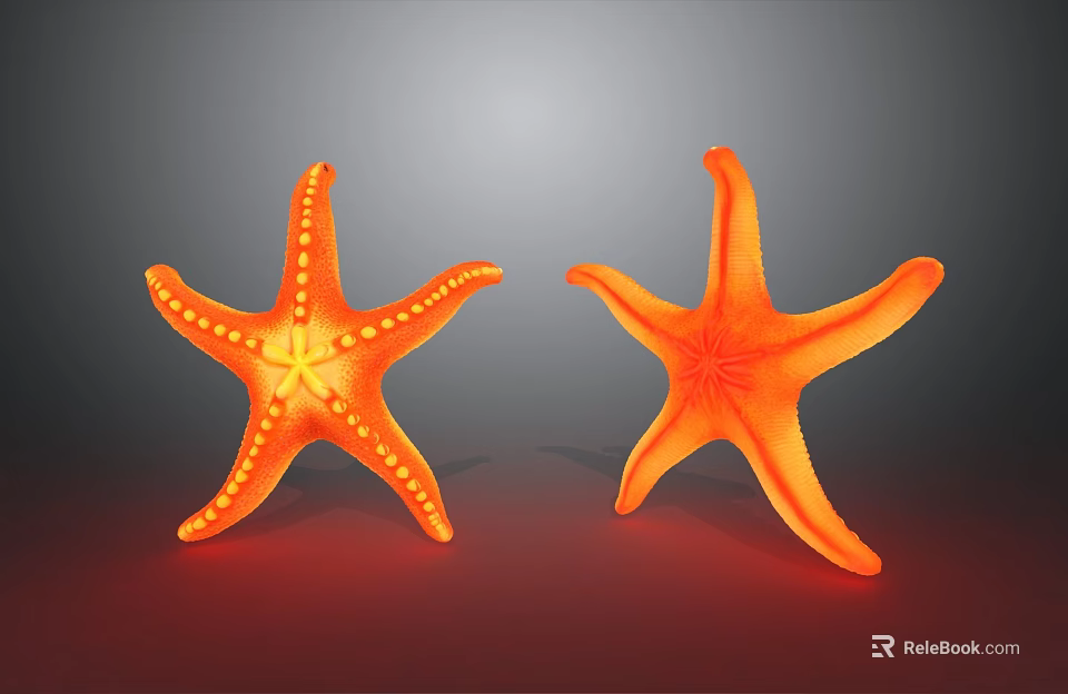 Two Bright Orange Starfish One With Yellow Dots On Dark Background 3d model 