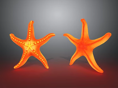 Two Bright Orange Starfish One With Yellow Dots On Dark Background 3d model