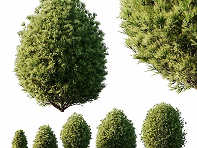 Green Garden Shrubs Landscaping With Different Sizes Round And Pine Like Shapes 3d model