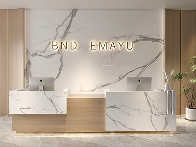 Front Desk Reception with Marble Backdrop Illuminated BND EMAYU Signage Wooden Base and Computers 3d model