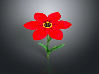 Vibrant Red Flower With Green Stem Leaves And Yellow Black Center On Gray Background 3d model