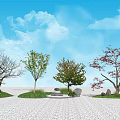 Modern Tree Courtyard Landscape Tree Combination 3d model