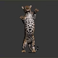 Realistic Spotted Leopard Standing On Hind Legs With Dark Background 3d model