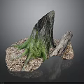 Green Moss Growing On Tree Stump With Wood Chips And Dark Background