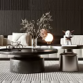 Modern Coffee Table with Vase Plant Bicycle Model Table Lamp in Living Room Near Sofa