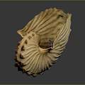 Light Colored Nautilus Shell With Intricate Spiral Texture And Smooth Surface