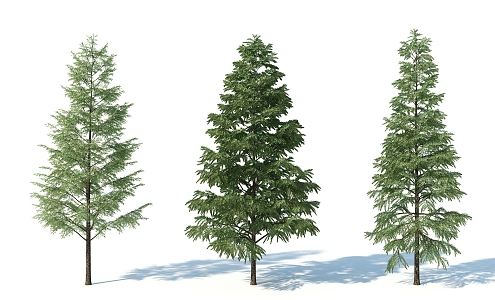 The Modern Tree 3d model