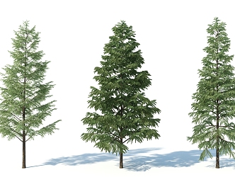 The Modern Tree 3d model