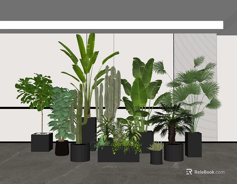 Indoor Potted Plants Collection With Various Green Foliage In Black Pots 3d model 