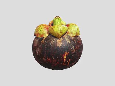 Fresh Ripe Mangosteen with Dark Purple Rind and Green Calyx Tropical Exotic Fruit 3d model