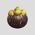 Fresh Ripe Mangosteen with Dark Purple Rind and Green Calyx Tropical Exotic Fruit
