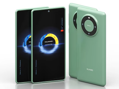 HUAWEI Mate 60 Green Smartphone Front Display And Rear Camera Module 3d model