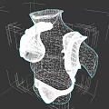 Women's Decorative Shoulder And Chest Armor With Silver Red Accents Green Detail