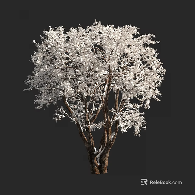 White Covered Tree with Dense Branches and Brown Trunk Against Dark Background 3d model