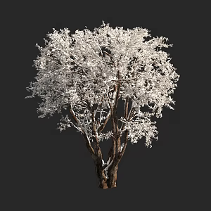 autumn and winter plants shrub tree snow cover 3d model