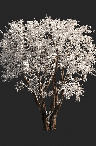 autumn and winter plants shrub tree snow cover 3d model