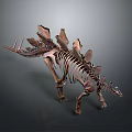 Reptile Dinosaur Skeleton Model with Prominent Back Plates and Long Tail 3d model