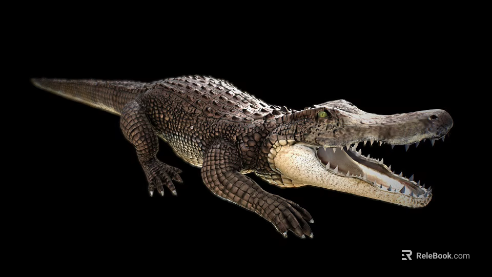 Realistic Crocodile With Open Mouth Detailed Scales And Sharp Teeth On Black Background 3d model 
