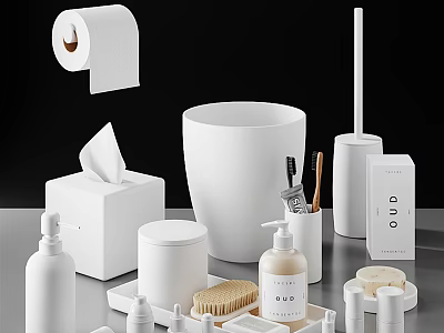 Minimalist White Bathroom Accessories Including Tissue Box Toilet Brush Soap Dispenser And Trash Can 3d model