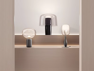 Modern Table Lamps on Light Colored Shelf with Transparent and Curved Shades 3d model