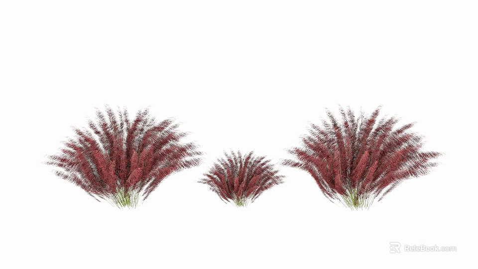 Red Decorative Shrubs For Garden Landscaping With Varied Sizes And Green Foliage 3d model 