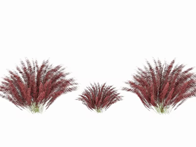 Red Decorative Shrubs For Garden Landscaping With Varied Sizes And Green Foliage 3d model