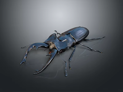 Detailed Blue Stag Beetle With Large Mandibles On Gray Gradient Background 3d model