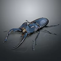 Detailed Blue Stag Beetle With Large Mandibles On Gray Gradient Background 3d model